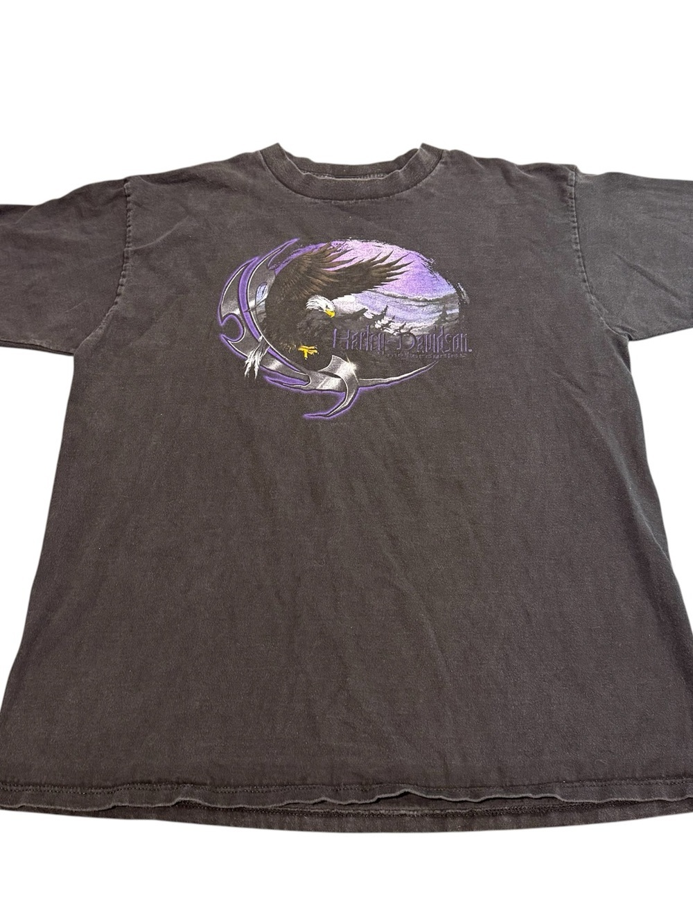 Vintage Harley Davidson bald Eagle attack black purple tee shirt men’s XL Holoub